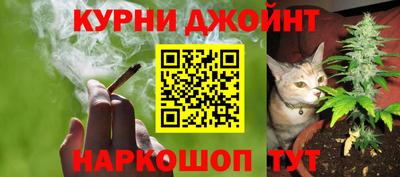 гидропоника Камышлов