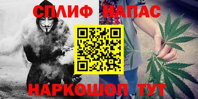 гидропоника Камышлов