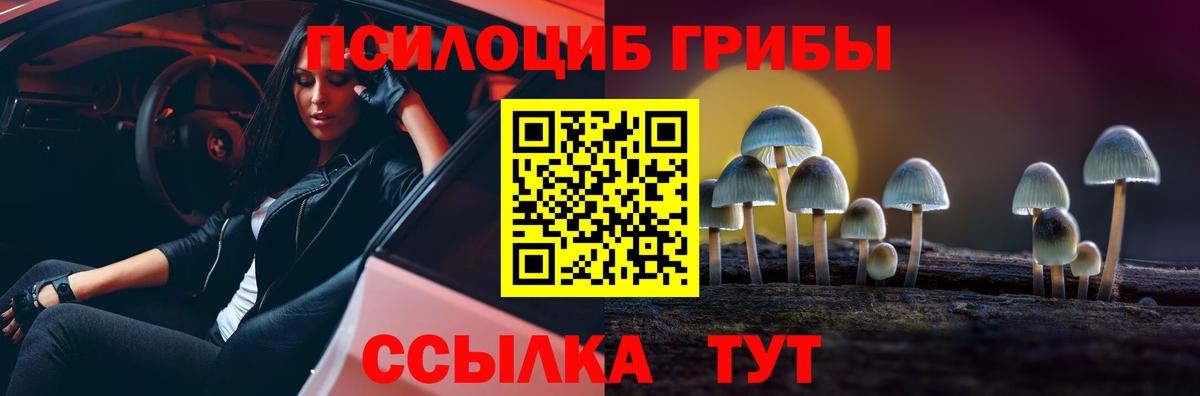 Галлюциногенные грибы ЛСД Кувандык